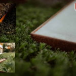 Corten Steel Rings for Stylish Garden & Landscape Grates