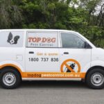 Pool Inspections Gold Coast – Safe, Thorough & Trusted