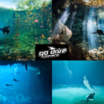 Best Diving in Tulum: Discover the Underwater Paradise