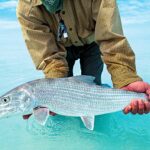Bonefish lodges in South Andros, Bahamas – Best Stays with Bairslodge.com