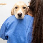 Hund tandvård i Tomelilla – omtanke om din hunds tänder