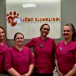 Vaccinera hund i Simrishamn – säkra hälsan hos ditt husdjur