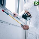 Reliable Pest Control Near Werribee | Trident Pest Control