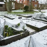 Create a Simple Vermicomposting System for Home Use