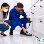 Calgary Rat Exterminator: Reliable Pest Control You Can Trust