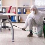 Bed Bug Removal Calgary – Expert, Discreet & Guaranteed Service