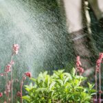 Professional Lawn Aeration in San Antonio – Boost Your Lawn Health