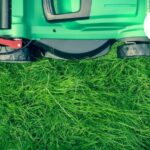 Trim Garden Services in Bristol | Neat, Reliable Hedge Care