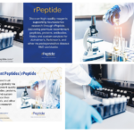 Buy Alpha-Synuclein Fibrils for Neurodegenerative Research
